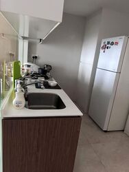The Lakefront Residences (D22), Condominium #549282061